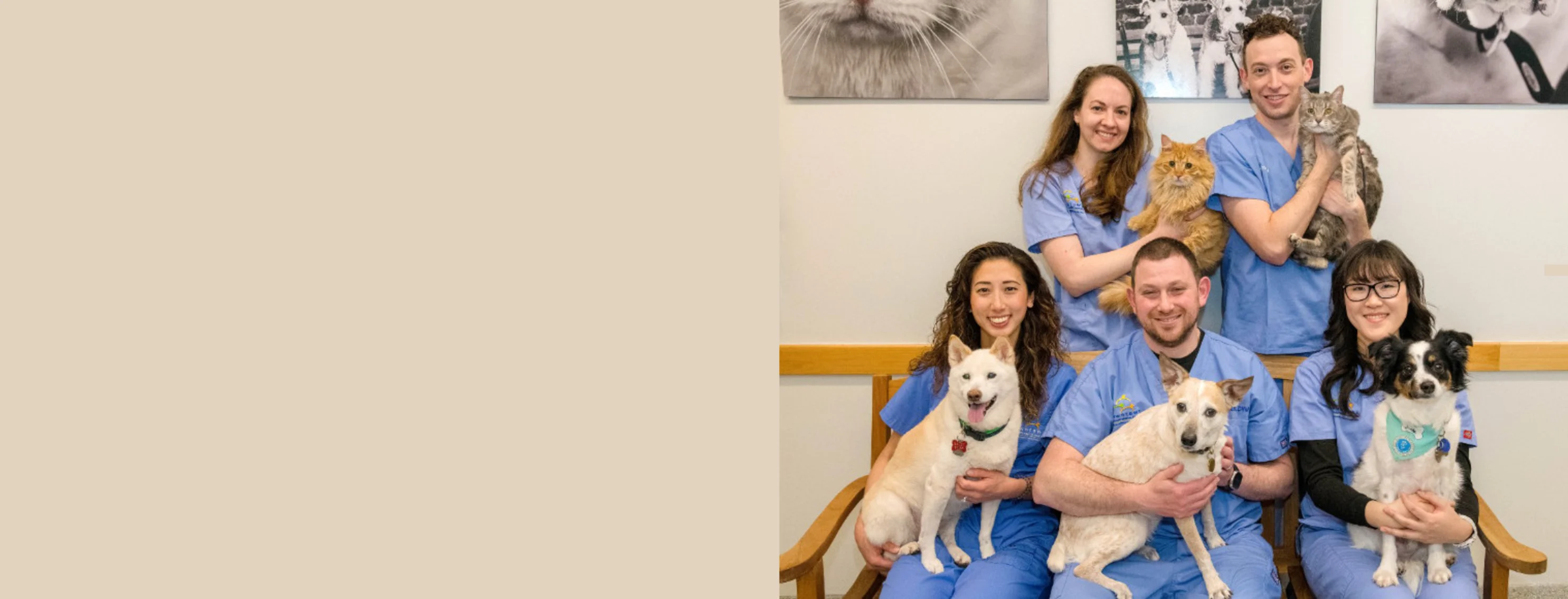 West Village Veterinary Hospital Staff